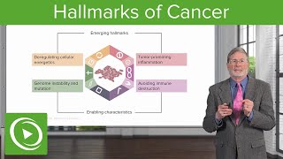 Hallmarks of Cancer [upl. by Akienaj]