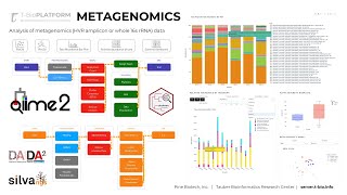 Metagenomic Data Analysis on TBioinfo Server QIIME2 [upl. by Schilit542]