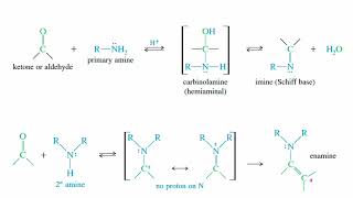 Ketones and Aldehydes  56 [upl. by Noyahs]