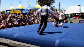 The Olate Dogs perform at Lane County Fair [upl. by Anaujahs390]