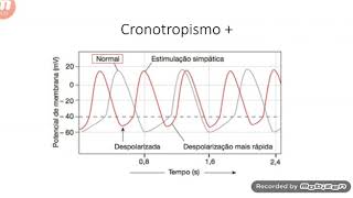 Inotropismo e cronotropismo [upl. by Htebasyle]