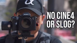 Why I Dont Shoot in CINE4 or SLog Picture Profiles  Sony a7III a7RIII a7SII a6500 [upl. by Roderick514]