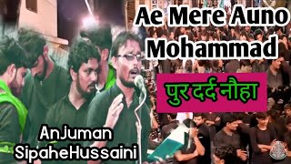 Anjuman Sipahe Hussaini Bhanauli Sadaat  Ae Mere Auno Mohammad as  पुर दर्द नौहा [upl. by Belldame770]