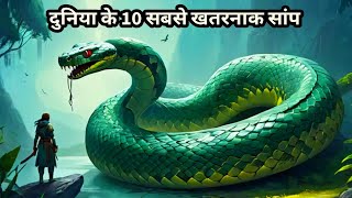 Duniya ke 10 Rahasyamayi Snakes  दुनिया के 10 सबसे खतरनाक सांप  Most Dangerous Snakes  Mysterious [upl. by Warring]