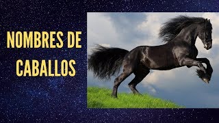 Nombres de Caballos Famosos En Español [upl. by Retlaw998]