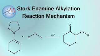 Stork Enamine Alkylation Mechanism  Organic Chemistry [upl. by Rafaellle321]