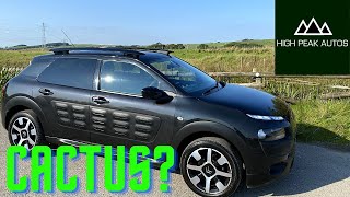 Should You Buy a CITROEN C4 CACTUS Test Drive amp Review [upl. by Carolynn628]