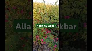 Namaz Janaza Namaz Janaza shortvideo shortfilm 🤲 [upl. by Alodee484]