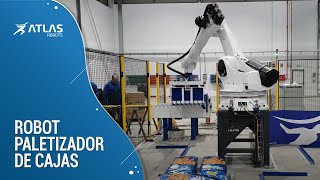 Robot Paletizador de cajas y sacos  Atlas Robots [upl. by Fitting]