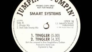 Smart Systems  Tingler [upl. by Akirdnas]