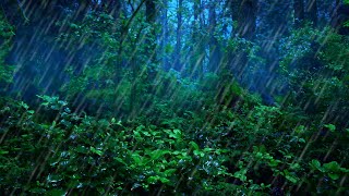 Rainforest Thunderstorm Sounds for Sleep  10Hour Rain and Thunder Ambience [upl. by Consuela]