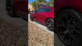 BMR Mustang lowering springs review [upl. by Linnette]