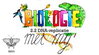 5H  22 DNA replicatie [upl. by Latton]