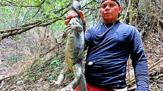 CACERÍA DE GARROBOS GIGANTES EN EL SALVADOR ESTO ES UN TENAMASTE [upl. by Guildroy]