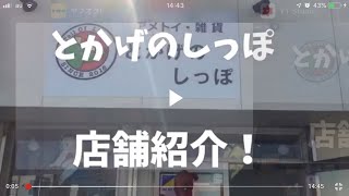 アメトイ雑貨のとかげのしっぽ 店舗紹介！！ [upl. by Madai715]