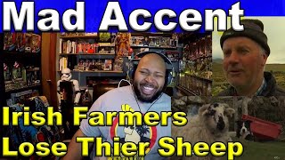 Irish Farmers Lose Their Sheep Mad Accent Reaction [upl. by Sancha]