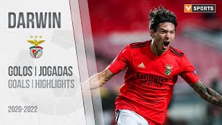 DARWIN NÚÑEZ  SL Benfica  Highlights 20202022 [upl. by Atnauqal]