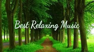 Relaxing Piano Music Romantic Music Beautiful Relaxing Music Sleep Music Stress Relief ★4 [upl. by Sackville]