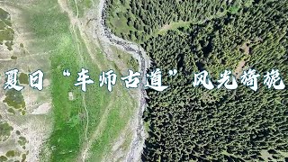 近日，地处天山山区的“车师古道”迎来一年中最美季节。据了解，“车师古道”跨越天山南北，是一条有两千多年历史的古道，不仅是汉代西域重要的交通线，也是天山山区气候垂直带和植被垂直带最有代表性的一条路线 [upl. by Garvey]