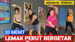 30 Menit Hilangkan Lemak Perut Dengan Cepat  Senam BL Paling Dahsyat [upl. by Drucie]