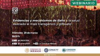 Webinario  Evidencias y mecanismos de daño a la salud asociado al maíz transgénico y glifosato [upl. by Anica731]