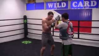 RUSLAN PROVODNIKOV EXPLOSIVE POWER MITTS  Ruslan Provodnikov vs Lucas Matthysse [upl. by Aliehc]