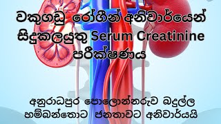 Creatinine Test sinhala  වකුගඩුු රෝග පරීක්ෂාව [upl. by Erreit766]