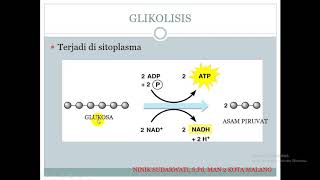 METABOLISME KATABOLISME [upl. by Eiddam97]