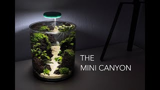 MINI CANYON in a 2L vase aquascape no filter no co2 fish tank shrimp vase [upl. by Darius]