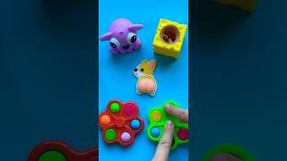 Great Squishy Corgi Work 🤩🤣😵‍💫 satisfying great squishy baby corgi funny shorts [upl. by Eciralc495]