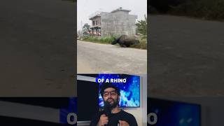 Rhino in India chases biker India Rhino shorts [upl. by Hamburger]