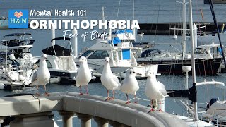 Mental Health 101 ORNITHOPHOBIA Fear of Birds [upl. by Ide858]