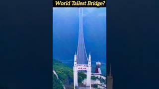 World Tallest Bridgeyoutubeshorts amazingfacts sciencefacts [upl. by Ryan]