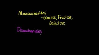 323 List three examples each of monosaccharides disaccharides and polysaccharides [upl. by Imojean435]