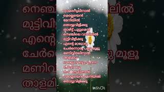 Mullavalliyum thenmavutrending viralvideo shortsmusic shortvideo shorts lyricvideo songlove [upl. by Carnahan844]