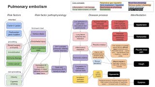 Pulmonary embolism mechanism of disease [upl. by Reibaj]