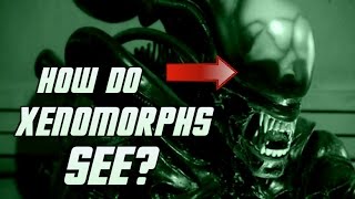 How Do Xenomorphs See  Explained [upl. by Tawsha]