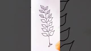 How do you draw pinnately compound leaf [upl. by Attiuqal685]