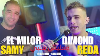 Reda diamond 2023 معليش قلبي نضر  Ma3lich Galbi Ndar Succés TikTok Avec Samy el milor رضا ديامو [upl. by Mcwilliams274]