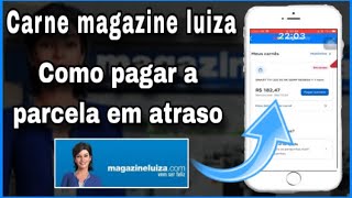 Como pagar parcela do carne magazine luiza em atraso parcela vencida [upl. by Htilil]