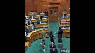 Newzealandmemberof oppositionbill protesttraditionaldance [upl. by Elades]