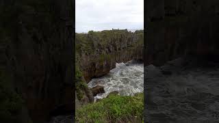 Punakaiki blowhole newzealandhighlights [upl. by Etessil544]