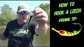 How To Hook a Leech Fishing Tip [upl. by Ydnic112]