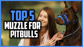 ✅ Top 5 Best Muzzle For Pitbulls of 2024 [upl. by Yelbmik]