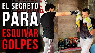 El SECRETO Para ESQUIVAR GOLPES  VITERI BOXING [upl. by Ydorb]