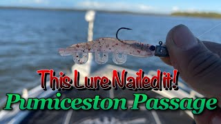 First Time Fishing Pumicestone Passage [upl. by Ignatia718]