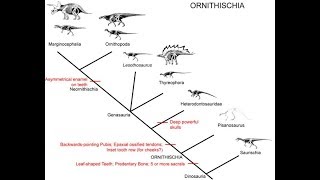 Ornithischia [upl. by Notgnirrac502]