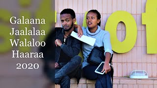 Galaana Jaalalaa  Walaloo Afaan Oromoo Haaraa 2020 Official Video [upl. by Lola]