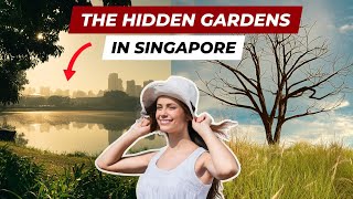 Jurong Lake Gardens COMPLETE Walking Tour  LAKESIDE GARDEN [upl. by Helmut]