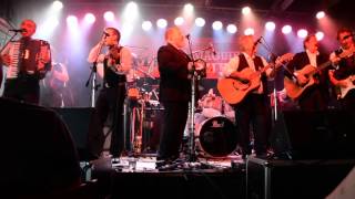 Murphys Pigs at Tamworth Country Music Festival with Terry Fielding [upl. by Gnilrad505]